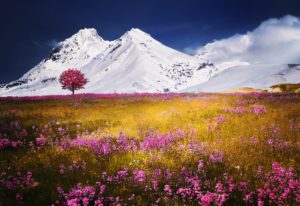 mountains 757731