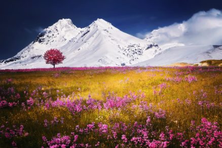 mountains 757731