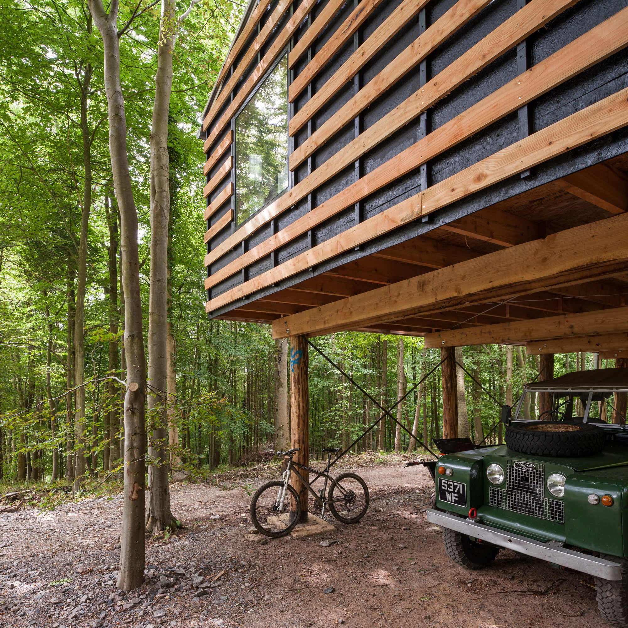 Andy Matthews Photo 07