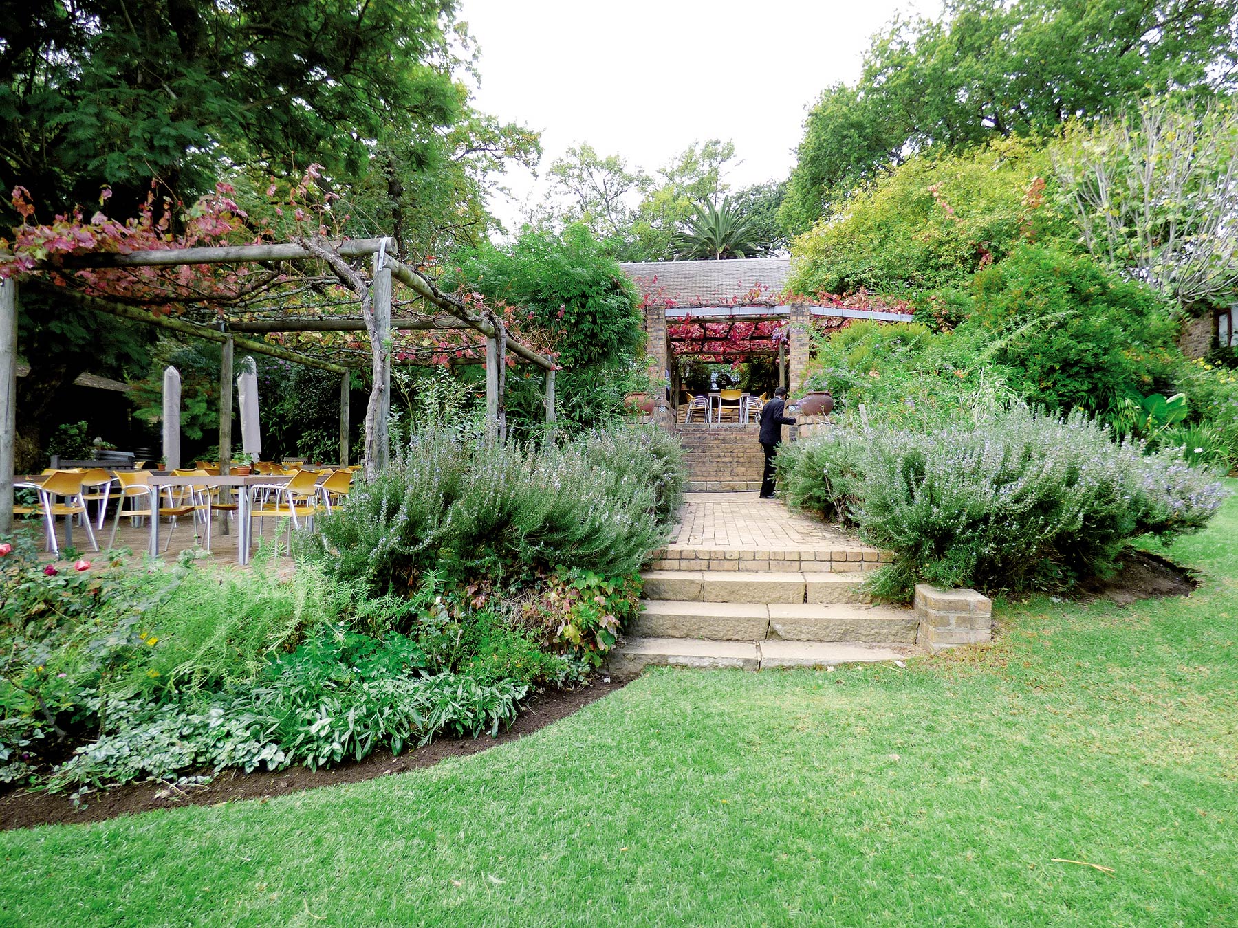 Všetky vinárstva sú obklopené nádhernými záhradami. Vinárstvo Delheim je však v tomto najdokonalejšie. Bolo po sezóne a červené listy viniča na pergolách nad terasami pripomínali, že sa končí jeseň.