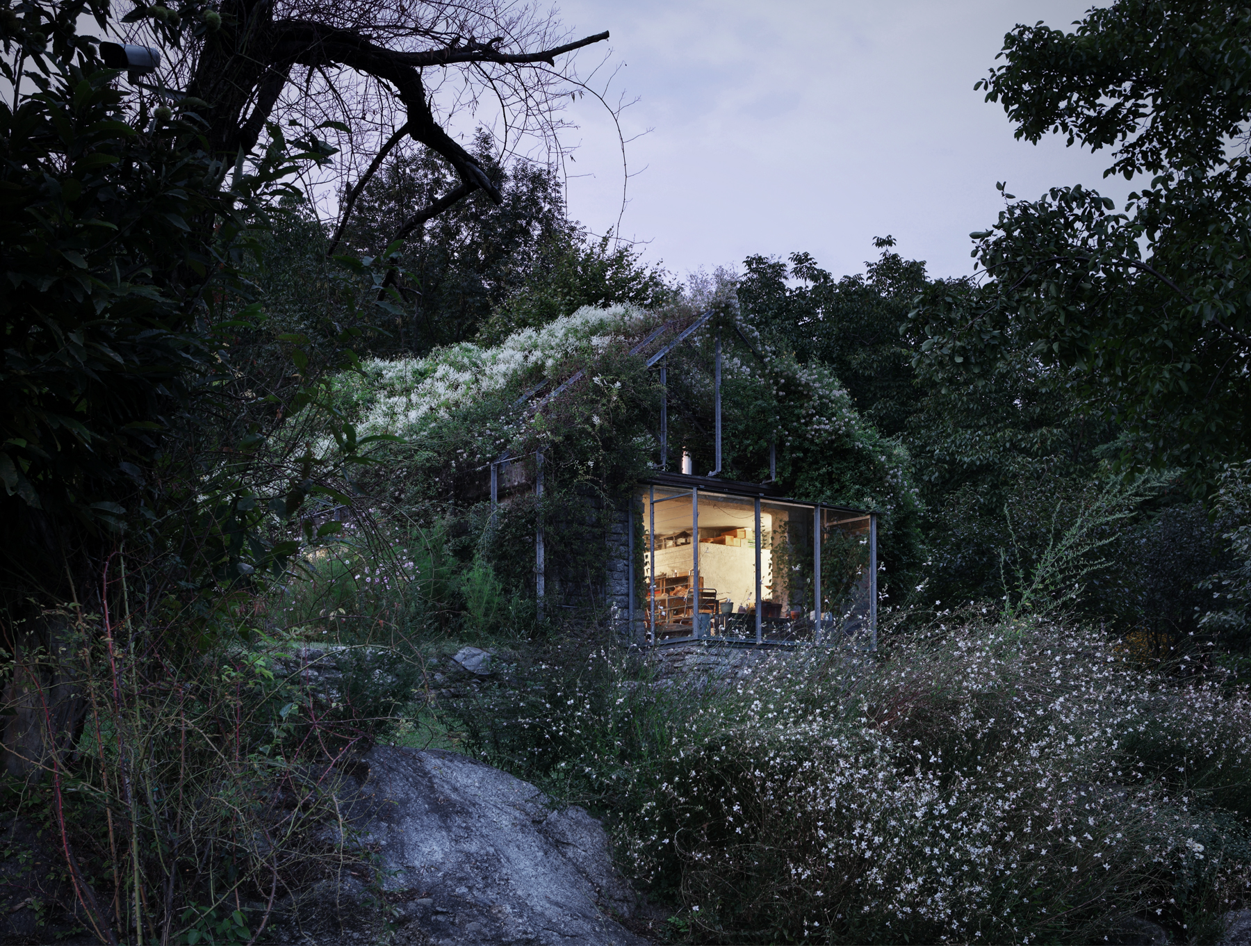 act romegialli green box IMG 10250