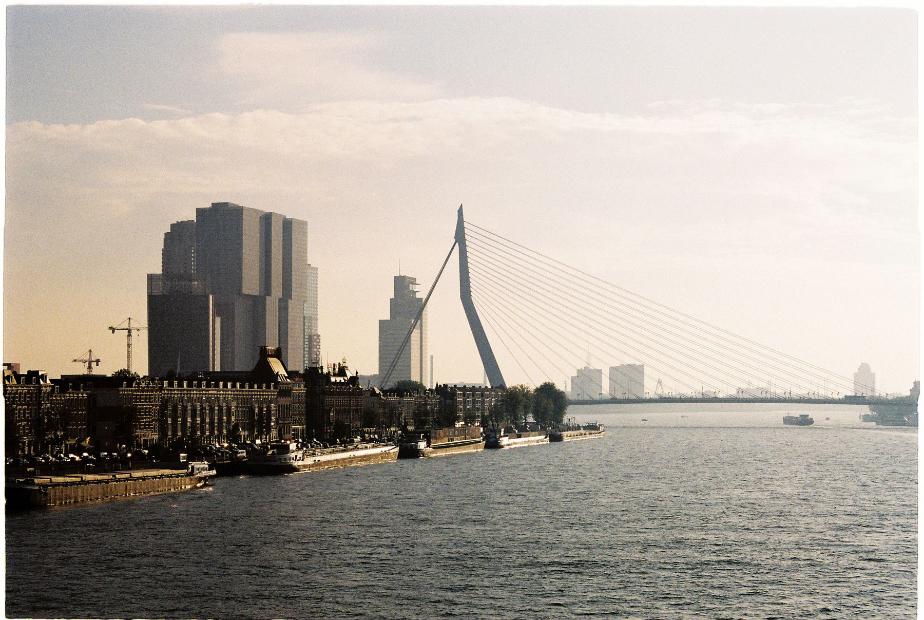 De Rotterdam V jednej lokalite spolu susedia most Erasmusbrug Bena van Berkela s kancelárskymi „výškovkami“ Renza Piana, Normana Fostera, Álvara Sizu, Mecanoo či s najnovším neprehliadnuteľným gigantom De Rotterdam miestneho Rema Koolhaasa zo štúdia OMA. Foto: Marek Peťovský