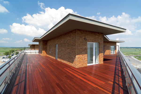 08 mg 3931 big image