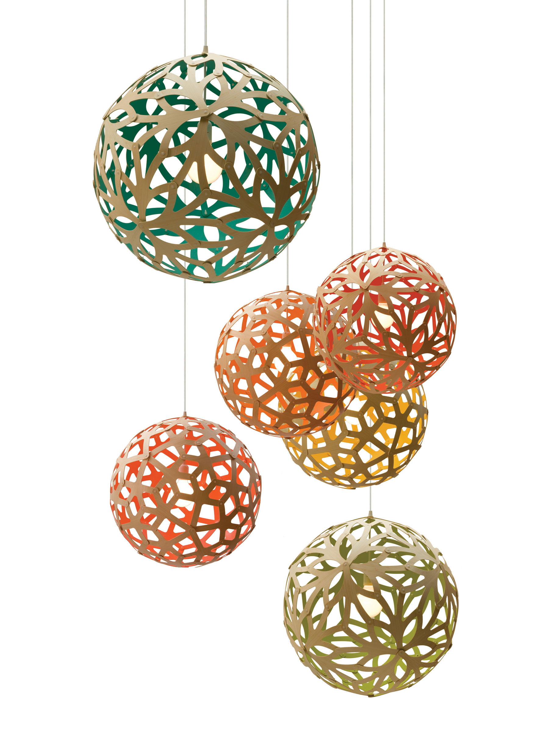 Coloured Coral Florals