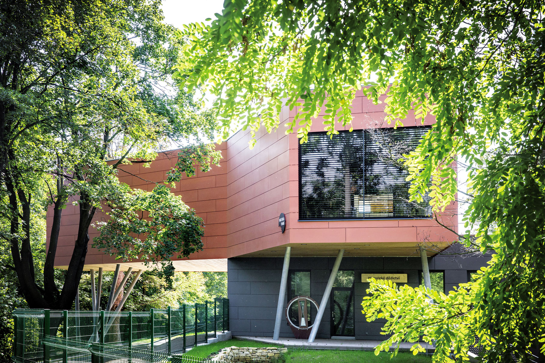 Prednášky sú v korunách stromov. Foto: Tomáš Kubelka