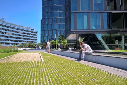 WP 20160607 13 14 34 Rich