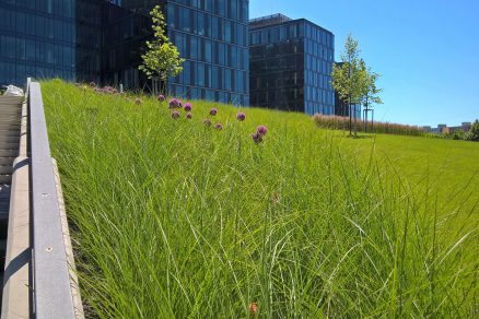 WP 20160607 13 46 11 Rich