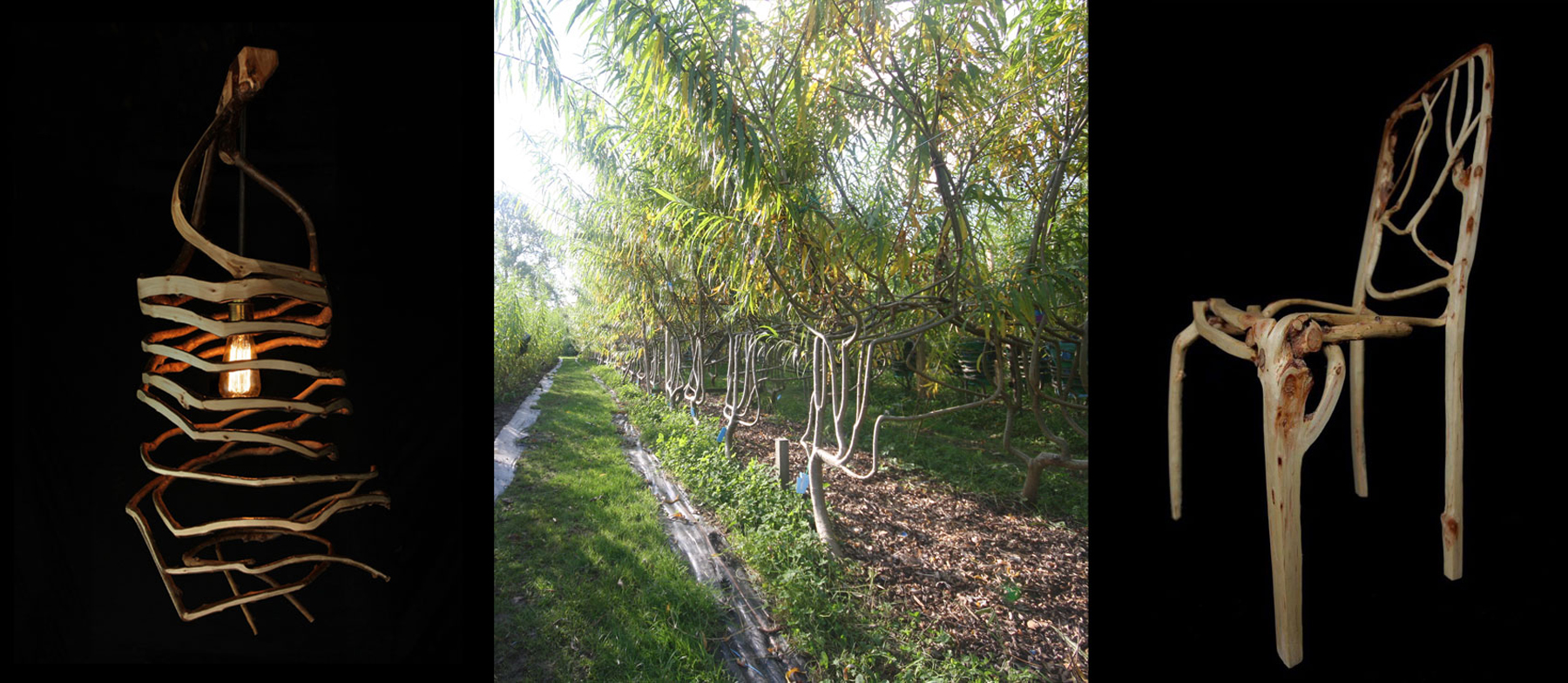 Fg 2016 lamp field chair collage