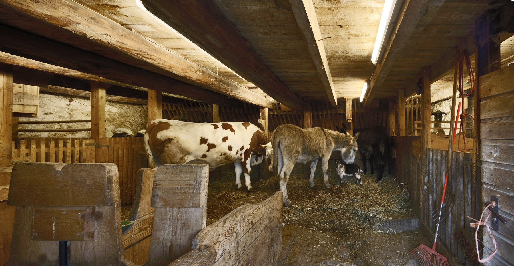 Architekt Pavol Mikolajcak Felderhof Villanders 24 