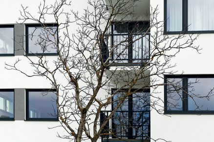 03 tarjanne big image