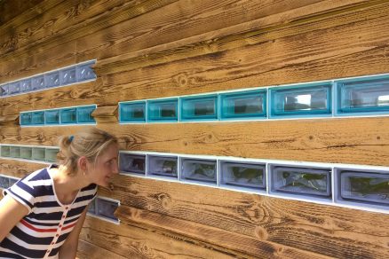 Pustovna AS treea opt 10