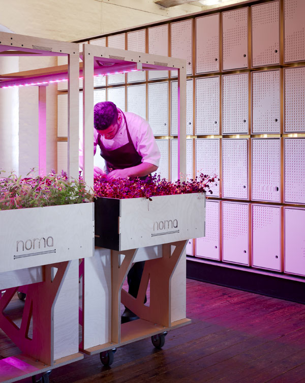 07 063 noma foodlab 021 h big image