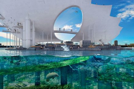 mma st pete pier underwater garden big image