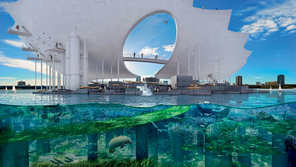 mma  st pete pier  underwater garden big image