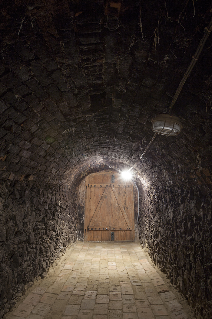 Vínnej pivnici modrák dala život „záchranárska“ akcia ateliéru - 07_xella_Plz