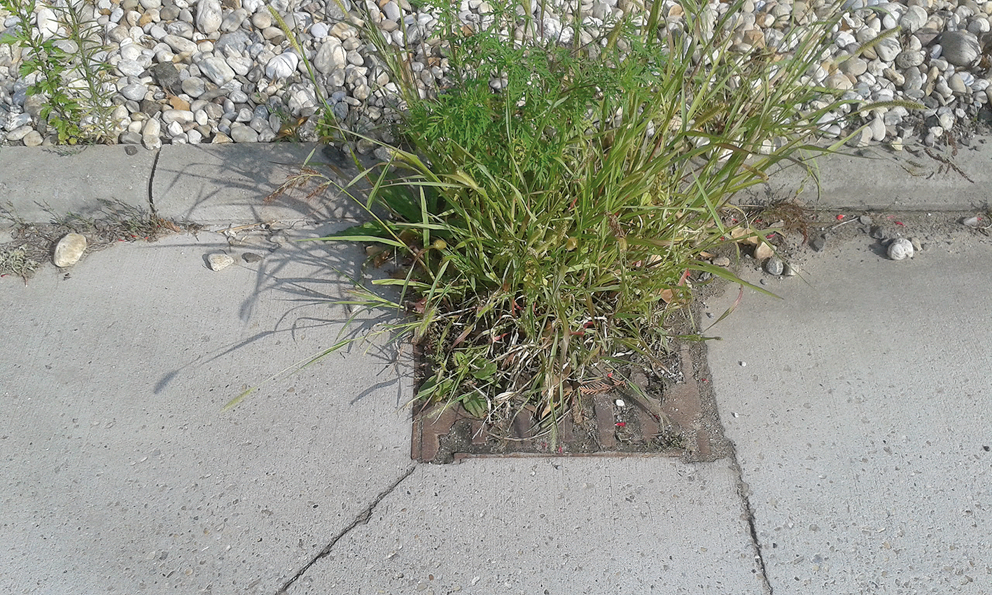 Obr. 1 Najčastejším znakom nedostatočnej údržby je zlé odvodnenie. Na obrázkoch vidieť nefunkčné odvodnenie vozovky.