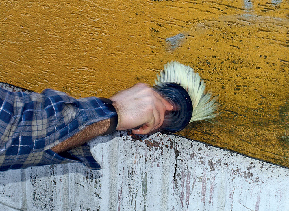 likvidacia mikroorganizmov na zateplenej fasade 7097 big image