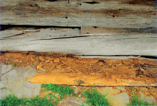 drevostavby a zivotnost poruchy chyby rekonstrukcie 6324 big image