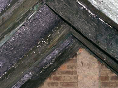 Obr. 4 Námraza pod poistnou  hydroizoláciou