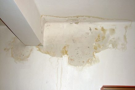 02icopal jpg big image