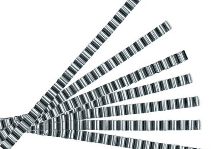 02Trhliny Hoco Estrichklammer