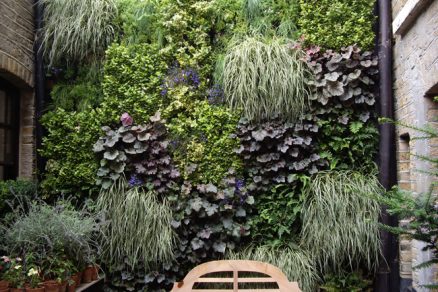 chrisdyson (4) big image