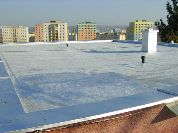 vynimocna zaruka na strechu az do 35 rokov 6025 big image