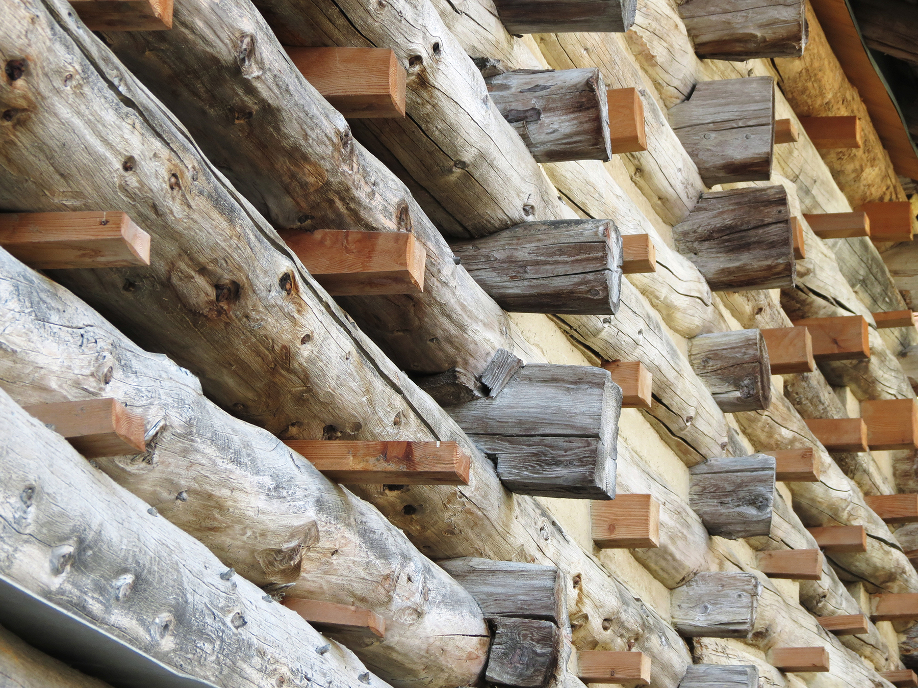 haratori IMG 2878 ch