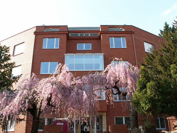 gynekologicko porodnicka nemocnica koch