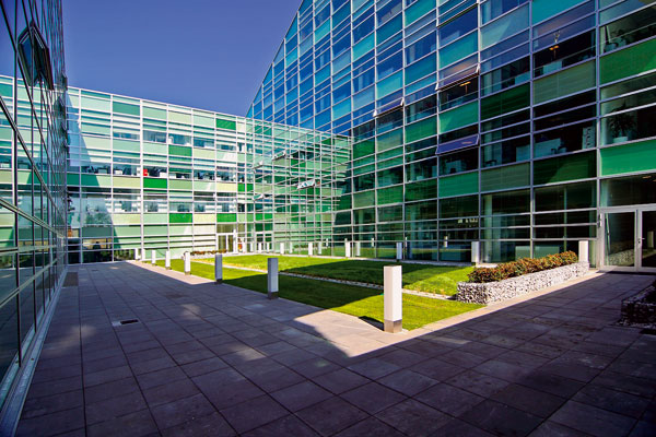 Na trhu má hlavné slovo kupujúci