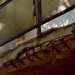 Ochrana výstuže v betóne a ich súdržnosť pri použití antikoróznych náterov