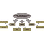 Protipožiarna ochrana oceľových konštrukcií