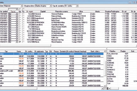 Softwarehouse pre veľkých klientov