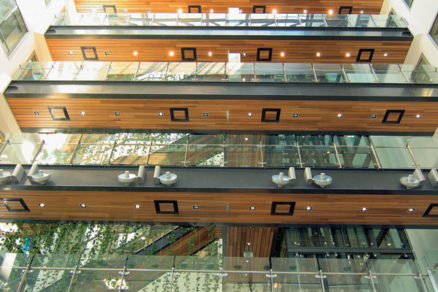 Stratégia adaptačných procesov