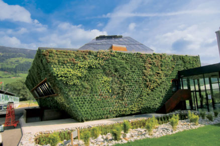 Vertikálne záhrady – vegetačné fasády