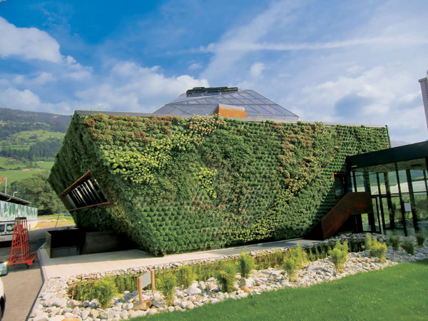 Vertikálne záhrady – vegetačné fasády